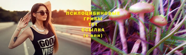 MDMA Белокуриха