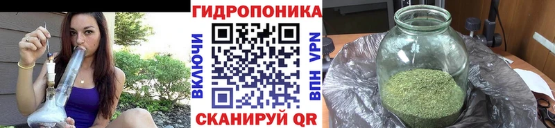 Конопля конопля  Великие Луки 